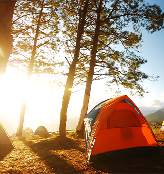 Tent in woods